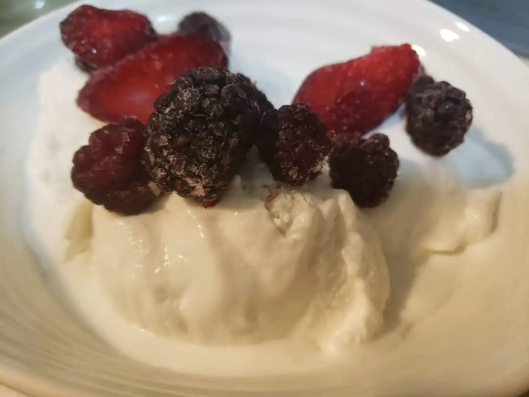 KETO VANILLA ICE CREAM