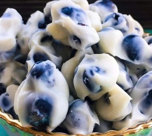 Blueberry Yogurt Protein Bites