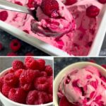 Vegan Raspberry Ice Cream