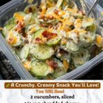 Low-Point WW Cucumber Snack